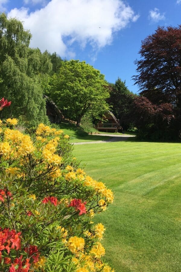 Pine & Gorse Lodges